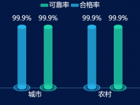 双圆形柱状图 [柱状图,象形柱图]