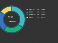 6732 [饼图]