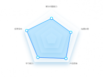 雷达-工作能力 [雷达图,雷达图]