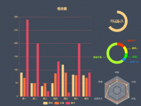 组合图-柱状图横向滚动 [雷达图,柱状图,饼图,雷达图]