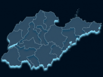 山东地图下钻 [地图]