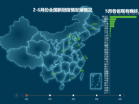 2-6月份全国新冠疫情发展情况 [地理坐标,柱状图,地图,折线图]