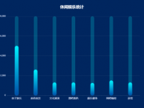 休闲娱乐统计 [柱状图]