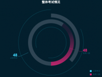 整体考试情况 [饼图]