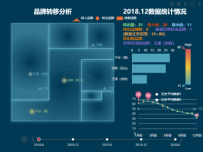 品牌转移分析 [地理坐标,柱状图,折线图,路径图,地图,折线图]