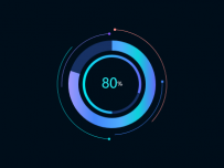 {a|80}{c|%} [饼图]