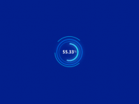 {a|55.33}{c|%} [仪表盘,饼图]